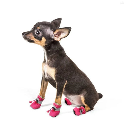 PawGuard Rain Booties – Waterproof Shoes for Small Pets