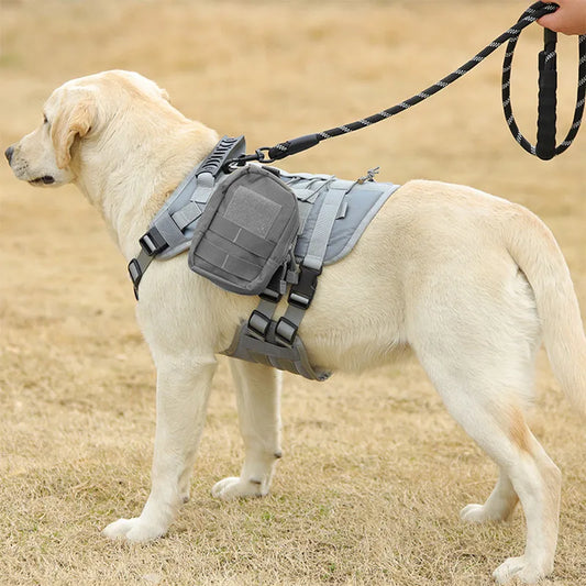 PawGuard Tactical Vest – Outdoor Harness for Active Dogs