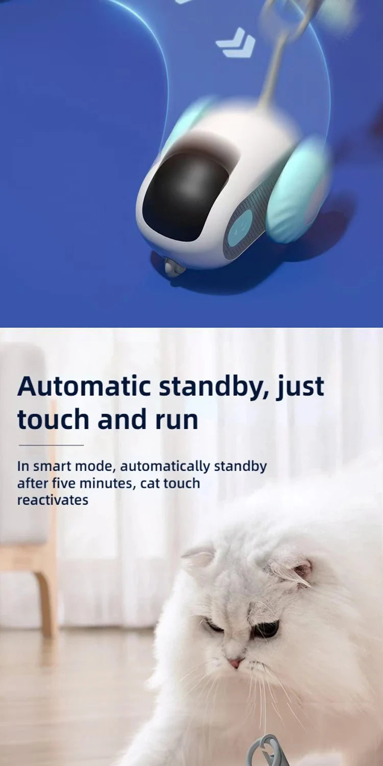 PawChase Electric Pet Racer - Smart Remote Control Toy for Cats & Puppies